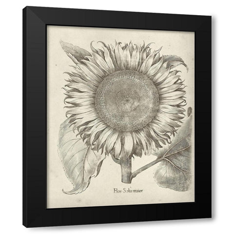 Fresco Sunflower I Black Modern Wood Framed Art Print by Vision Studio
