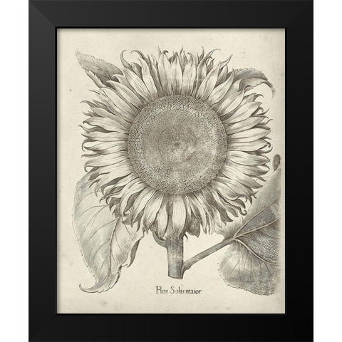 Fresco Sunflower I Black Modern Wood Framed Art Print by Vision Studio