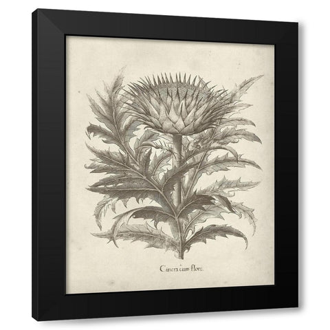 Fresco Artichoke I Black Modern Wood Framed Art Print with Double Matting by Vision Studio