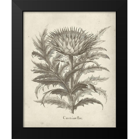 Fresco Artichoke I Black Modern Wood Framed Art Print by Vision Studio