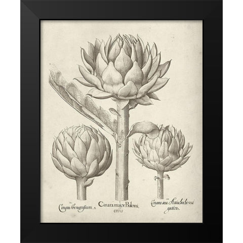 Fresco Artichoke II Black Modern Wood Framed Art Print by Vision Studio