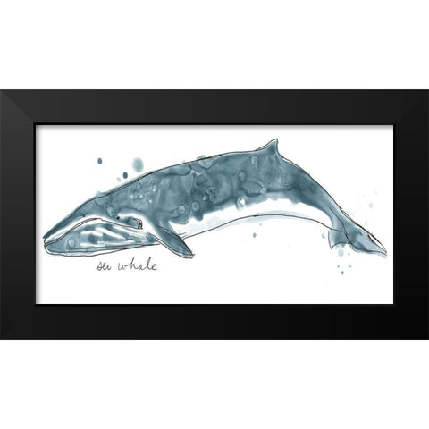 Cetacea Sei Whale Black Modern Wood Framed Art Print by Vess, June Erica