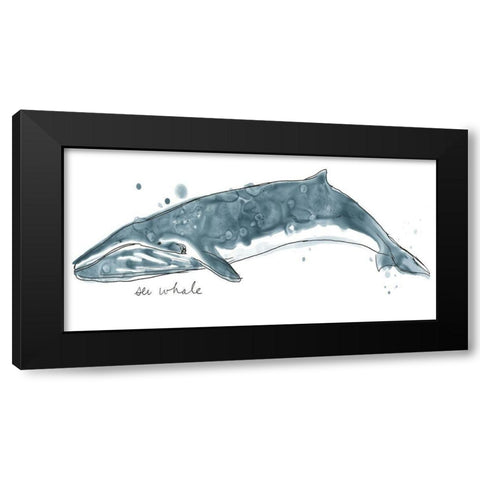 Cetacea Sei Whale Black Modern Wood Framed Art Print with Double Matting by Vess, June Erica
