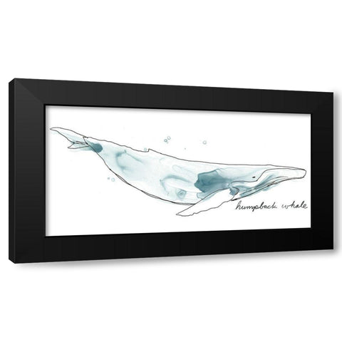 Cetacea Humpback Black Modern Wood Framed Art Print with Double Matting by Vess, June Erica