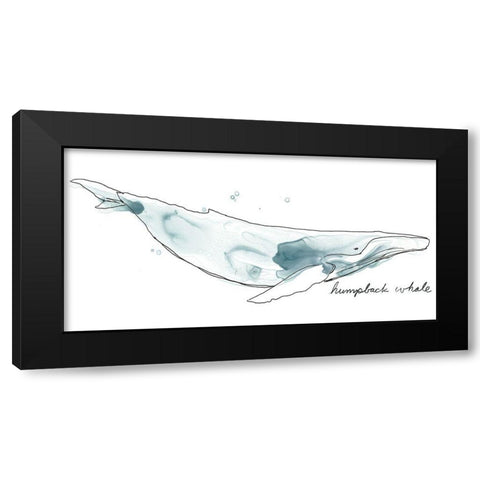 Cetacea Humpback Black Modern Wood Framed Art Print with Double Matting by Vess, June Erica