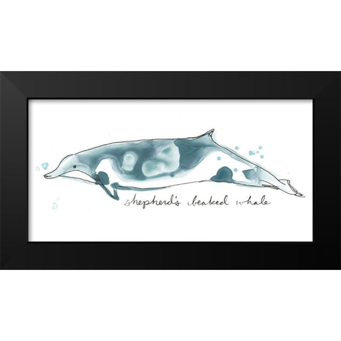 Cetacea Shepherds Beak Whale Black Modern Wood Framed Art Print by Vess, June Erica