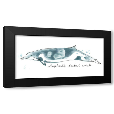 Cetacea Shepherds Beak Whale Black Modern Wood Framed Art Print by Vess, June Erica