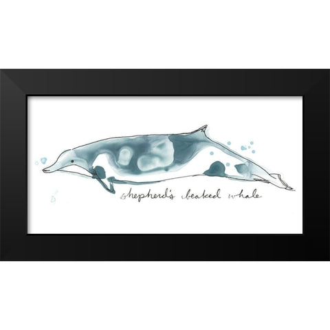 Cetacea Shepherds Beak Whale Black Modern Wood Framed Art Print by Vess, June Erica