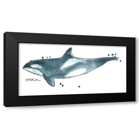 Cetacea Orca Whale Black Modern Wood Framed Art Print with Double Matting by Vess, June Erica