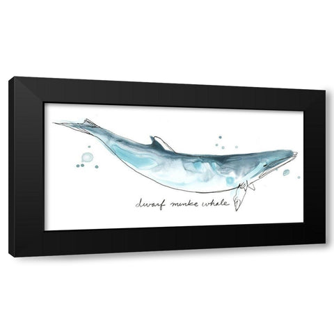 Cetacea Dwarf Minke Whale Black Modern Wood Framed Art Print by Vess, June Erica