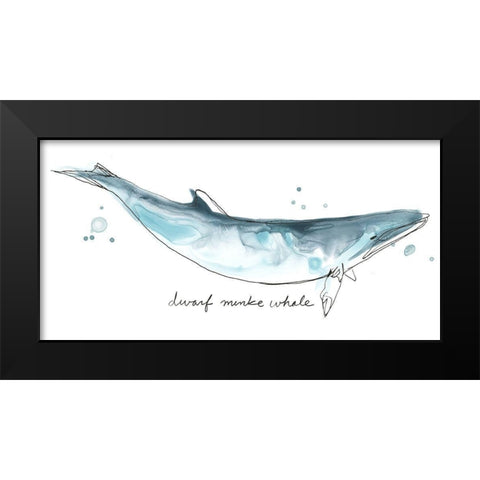 Cetacea Dwarf Minke Whale Black Modern Wood Framed Art Print by Vess, June Erica