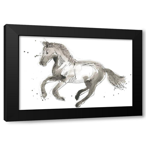 Equine Impressions II Black Modern Wood Framed Art Print with Double Matting by Vess, June Erica