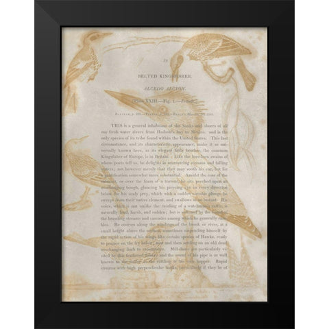 Ornithology Impressions I Black Modern Wood Framed Art Print by Wilson, Alexander