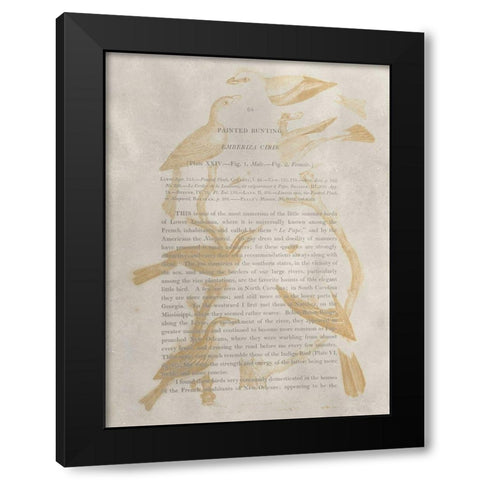 Ornithology Impressions II Black Modern Wood Framed Art Print by Wilson, Alexander