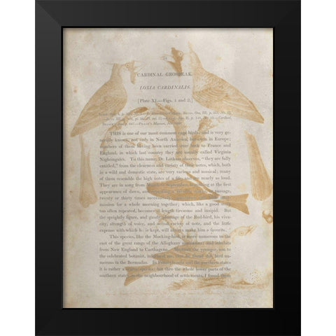 Ornithology Impressions IV Black Modern Wood Framed Art Print by Wilson, Alexander