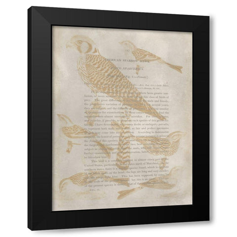 Ornithology Impressions V Black Modern Wood Framed Art Print by Wilson, Alexander