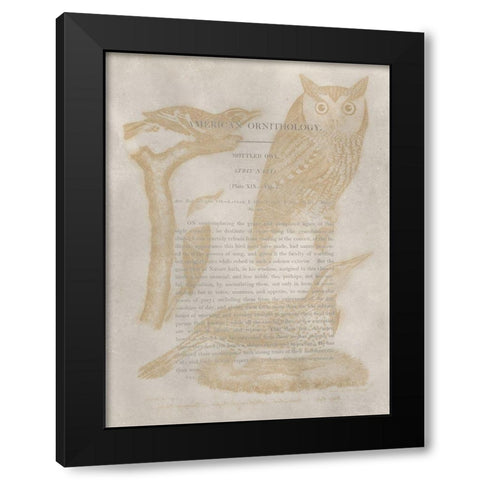 Ornithology Impressions VI Black Modern Wood Framed Art Print by Wilson, Alexander