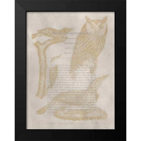 Ornithology Impressions VI Black Modern Wood Framed Art Print by Wilson, Alexander