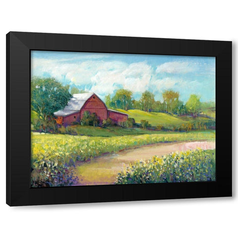 Rural America II Black Modern Wood Framed Art Print with Double Matting by OToole, Tim