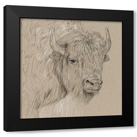 Bison Sketch I Black Modern Wood Framed Art Print with Double Matting by Wang, Melissa