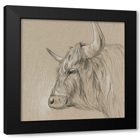 Bison Sketch II Black Modern Wood Framed Art Print with Double Matting by Wang, Melissa