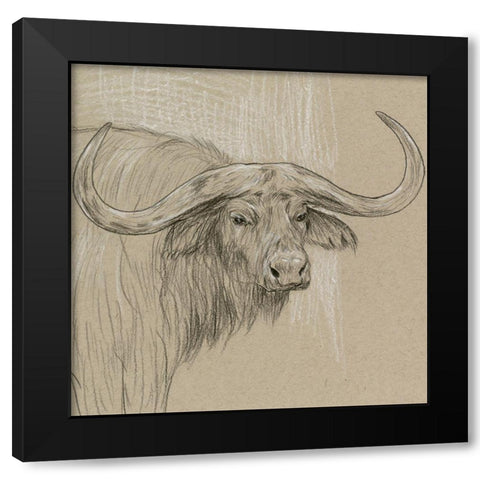 Longhorn Sketch II Black Modern Wood Framed Art Print with Double Matting by Wang, Melissa