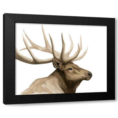 Call of the Elk I Black Modern Wood Framed Art Print with Double Matting by Popp, Grace
