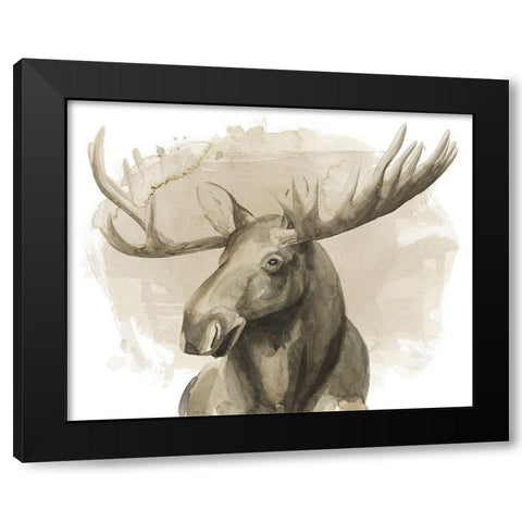Bull Moose II Black Modern Wood Framed Art Print with Double Matting by Popp, Grace