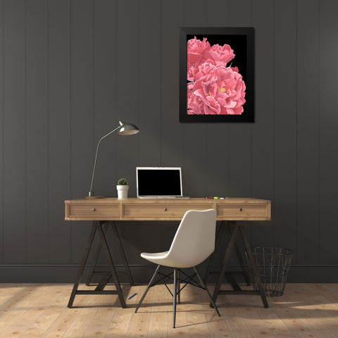 Peonies of My Heart I Black Modern Wood Framed Art Print by Wang, Melissa