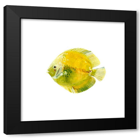 Discus Fish I Black Modern Wood Framed Art Print with Double Matting by Scarvey, Emma