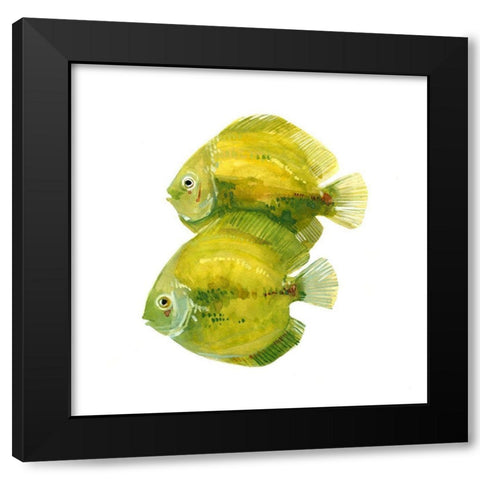 Discus Fish II Black Modern Wood Framed Art Print with Double Matting by Scarvey, Emma