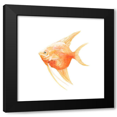 Discus Fish III Black Modern Wood Framed Art Print with Double Matting by Scarvey, Emma