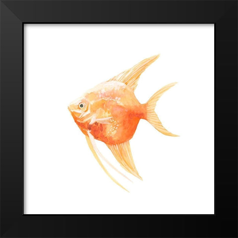 Discus Fish III Black Modern Wood Framed Art Print by Scarvey, Emma