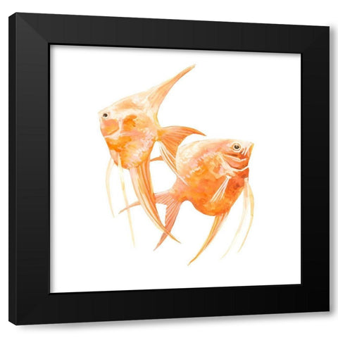 Discus Fish IV Black Modern Wood Framed Art Print by Scarvey, Emma