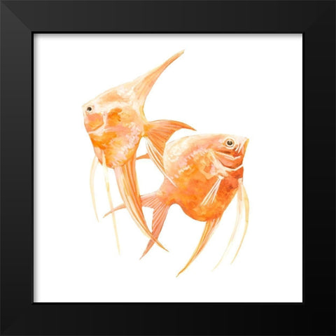 Discus Fish IV Black Modern Wood Framed Art Print by Scarvey, Emma