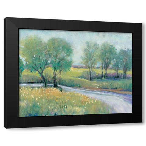 Summer Stream I Black Modern Wood Framed Art Print with Double Matting by OToole, Tim