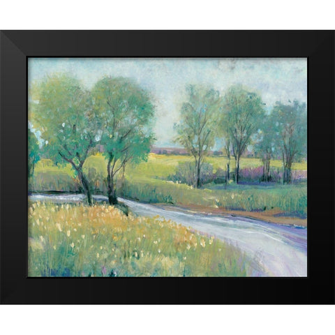 Summer Stream I Black Modern Wood Framed Art Print by OToole, Tim