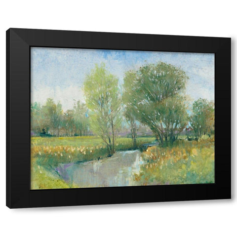 Summer Stream II Black Modern Wood Framed Art Print with Double Matting by OToole, Tim