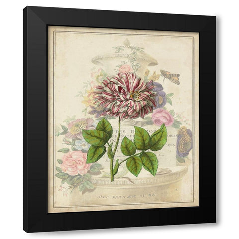 Vintage Rose Bookplate Black Modern Wood Framed Art Print with Double Matting by Vision Studio