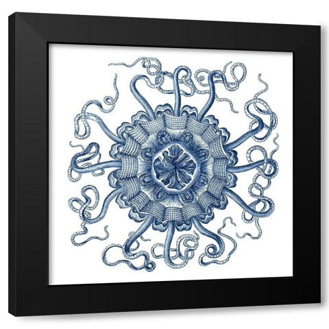 Navy Ocean Gems II Black Modern Wood Framed Art Print with Double Matting by Vision Studio