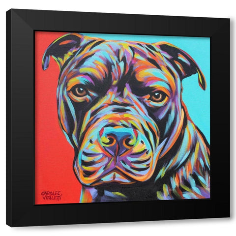 Canine Buddy III Black Modern Wood Framed Art Print with Double Matting by Vitaletti, Carolee