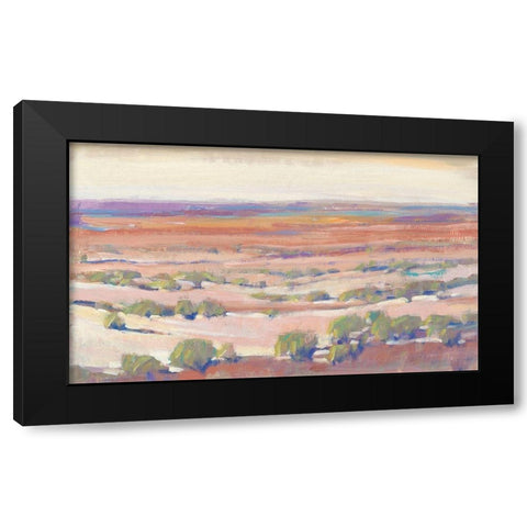 High Desert Pastels I Black Modern Wood Framed Art Print with Double Matting by OToole, Tim