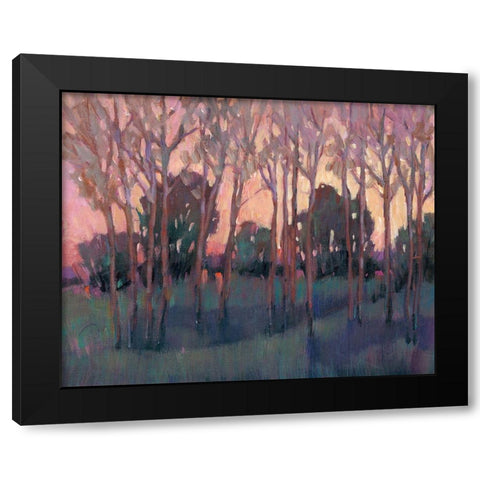 Morning Light I Black Modern Wood Framed Art Print with Double Matting by OToole, Tim