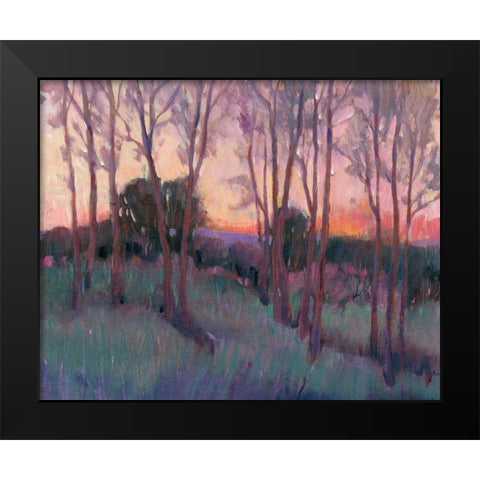 Morning Light II Black Modern Wood Framed Art Print by OToole, Tim