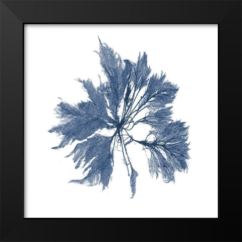 Navy Seaweed I Black Modern Wood Framed Art Print by Vision Studio