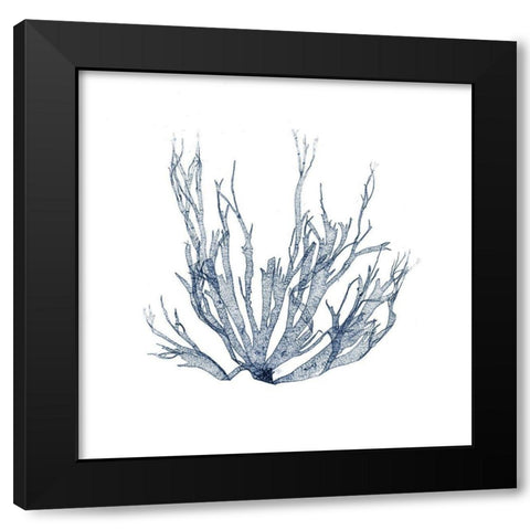 Navy Seaweed IV Black Modern Wood Framed Art Print with Double Matting by Vision Studio