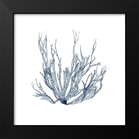 Navy Seaweed IV Black Modern Wood Framed Art Print by Vision Studio