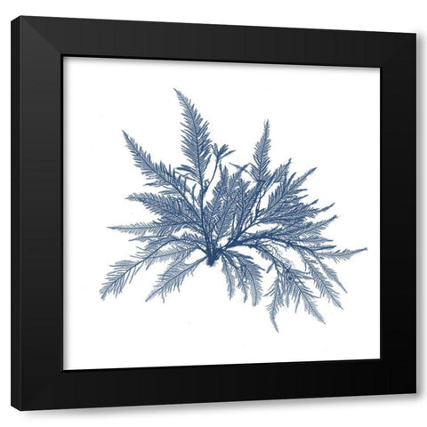Navy Seaweed V Black Modern Wood Framed Art Print by Vision Studio