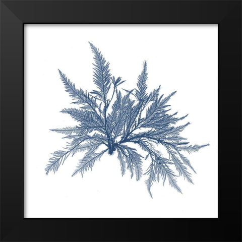 Navy Seaweed V Black Modern Wood Framed Art Print by Vision Studio