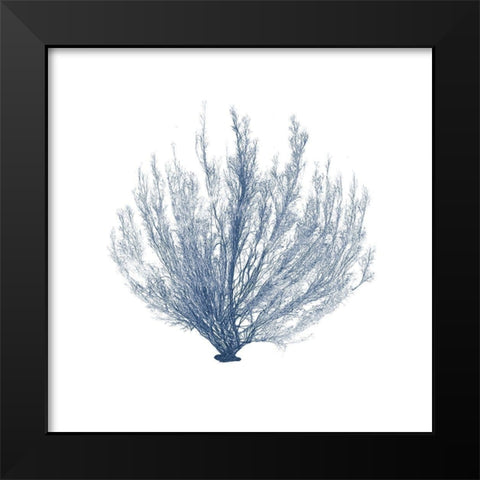 Navy Seaweed VI Black Modern Wood Framed Art Print by Vision Studio